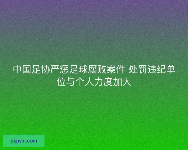中国足协严惩足球腐败案件 处罚违纪单位与个人力度加大